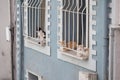 Cats sitting on windowsills in a blue building Royalty Free Stock Photo