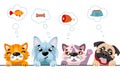 Cats and small dogs border set. Funny dog and cute cat best friends. Royalty Free Stock Photo