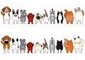 Cats and small dogs border set Royalty Free Stock Photo