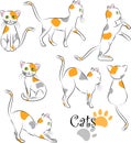 Cats