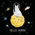 Cats in space. Cute typographi print with cat astronaut