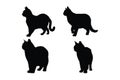 Cats standing and walking in different positions silhouette set vector. Domestic animals like cats or feline silhouette on a white Royalty Free Stock Photo