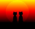 Cats at Sunset