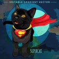 Cats superheroes. SuperCat Royalty Free Stock Photo