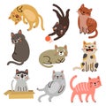 9 cats. vector characters collection