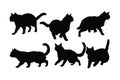 Cats walking in different positions, silhouette set vector. Adult cat silhouette collection on a white background. Beautiful Royalty Free Stock Photo