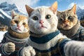 Cats wearing sweaters make selfie, funny pets on vacation in mountains, generative AI