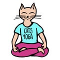 Cats yoga illustration