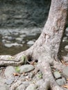 Catskill mountains hudson valley creek bed