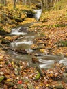 Catskills Autumn Stream