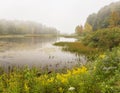 Catskills Autumn WIldflowers on Foggy Wawaka Lake