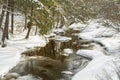 Catskills Frozen Stream