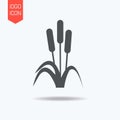 cattail design vector icon flat modern isolated illustration Royalty Free Stock Photo