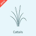 cattail icon logo design vector flat isolated illustration Royalty Free Stock Photo