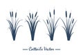 cattail icon logo design vector isolated illustration Royalty Free Stock Photo