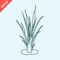 cattail icon logo design vector isolated illustration