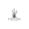 cattail logo vector illustration design, cattail silhouette vector design Royalty Free Stock Photo