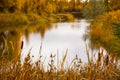 Cattails In Autumn Lake Foliage Fall Color