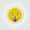 cattails logo cattail vector illustration design graphic template coloring concept
