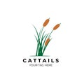 cattails logo vector illustration design Royalty Free Stock Photo