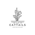 Cattails reed line art icon logo vector template illustration design Royalty Free Stock Photo