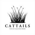 cattails or reed logo vintage vector illustration template design