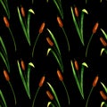 Cattails seamless pattern on black background