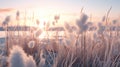 Cattails Standing Tall in a Drained Carnival Fountain AI Generated