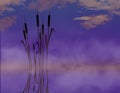 Cattails in water are the subject of this natural background image