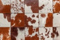 Animal Leather Fur Skin Hides Squares Closeup Detail