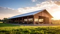 Cattle barn with cows grazing in a field at sunset. Royalty Free Stock Photo