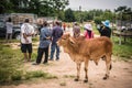 Cattle and Buffalo Market at Khao Mai Kaew, Chonburi Province, Thailand