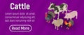 Cattle concept banner, isometric style Royalty Free Stock Photo