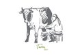 Cattle concept sketch. Isolated vector illustration Royalty Free Stock Photo
