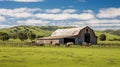 cattle cow barn