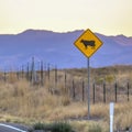 Cattle crossing road sign against mountain in Utah Royalty Free Stock Photo