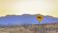 Cattle crossing road sign in Highway 68 Utah