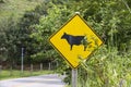 Cattle crossing road warning sign Royalty Free Stock Photo