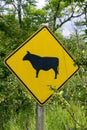 Cattle crossing road warning sign Royalty Free Stock Photo