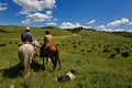 Cattle drive