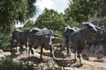 The Cattle Drive Sculpture at Pioneer Plaza in Dallas, Texas