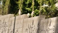 Cattle egrets on a wall