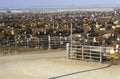 Cattle feed lots