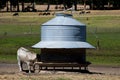 Cattle Feeder Silo Royalty Free Stock Photo