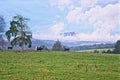 Cattle Feeding in Meadows Below Blue Ridge Mountains