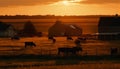 Cattle graze in meadow at dusk, backlit by sunset generated by AI Royalty Free Stock Photo