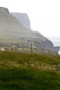 Cattle grazes on cliffs along Burren Way, near Doolin