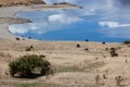 Cattle grazing on the land surrounding Lake Hawea Royalty Free Stock Photo