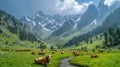 Cattle Grazing on Lush Green Hillside Royalty Free Stock Photo