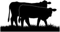 Cattle grazing silhouette Royalty Free Stock Photo